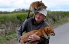 Video di Animali