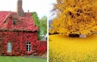 Une palette de couleurs est au centre de cette galerie de photos qui célèbre la magie de l'automne