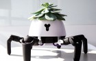 Video Robot