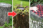 16 soluzioni ingegnose per sfruttare un tronco d'albero tagliato in giardino