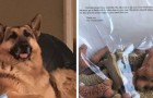 Their dog has just passed away and the family thanks the postman who brought their dog a treat every day with a note