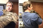 Depois de ter sido atropelada por um carro, esta coruja abraça o homem que a salvou