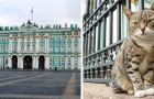 Video Russia