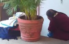 Video Anziani
