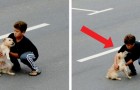 Video Hundevideos Hunde