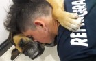 Het hondje sterft van angst in de armen van haar baasje vanwege het luidruchtige vuurwerk