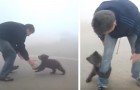 En liten björnunge kan inte sluta krama mannen som räddat honom från en skogsbrand
