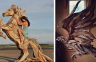 Vidéos sur l' Art