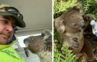 Video Rettungsvideos Rettungen