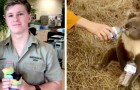 La famille de Steve Irwin ouvre les portes de son zoo pour sauver les animaux des incendies en Australie