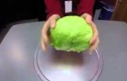 Ecco come rimuovere il torsolo dell'insalata in meno di 5 secondi!