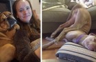 I cani non si tirano mai indietro di fronte a un pisolino: 18 foto in cui sono addormentati nelle posizioni più scomode