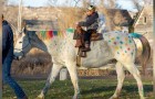 A 5-year-old boy with brain cancer had a dream of riding a unicorn that came true