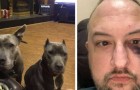 Video of Animals