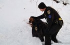 Een politieagent helpt een zojuist aangereden hond door hem zijn jas aan te bieden om hem warm te houden