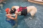 This dog was terrified of the water, but the owner takes care of it !