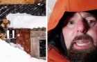 Video di Animali
