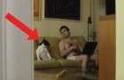 Miren que cosa descubre esta mujer filmando a escondidas a su marido y su perro