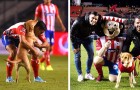 A stray dog came onto a soccer field during a game and now she is the mascot of a Mexican team