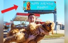 Il a loué un panneau d'affichage pour informer tout le monde de l'anniversaire de son chien