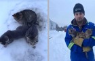 Video Video's van Katten Katten