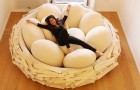 Video Leuke video's Leuke