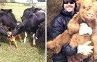 Video Schattige video's Schattig