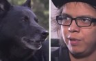 Nach einem schweren Autounfall kümmert sich der Hund 40 Stunden lang um seinen Besitzer, bis Hilfe eintrifft