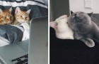 Vidéos sur l' Amour