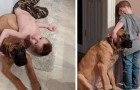Une mère punit son enfant, mais le chien ne laisse pas l'enfant affronter seul sa punition