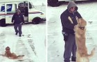 Elke dag wacht deze hond op de postbode op de oprit om hem een geweldige knuffel te geven