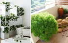 12 idee di design irresistibili per arredare con le piante e rendere più verde la nostra casa