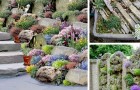 Jardins de rocaille DIY : 17 idées étonnantes pour tout type d'espace vert