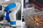 Video Lavori