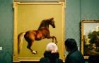 Vidéos sur l' Art