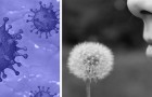 Perdere all'improvviso olfatto e gusto potrebbe essere un primo sintomo del Coronavirus: l'ipotesi dei ricercatori