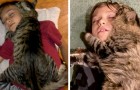 The cat and its little owner are so inseparable that they always sleep hugging together