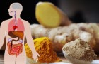 Infusion au gingembre et au curcuma : une boisson digestive contre les inflammations, amie de notre système immunitaire