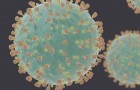 Coronavirus: Die WHO bestätigt, dass die Infektion nicht durch die Luft, sondern durch Speicheltropfen erfolgt