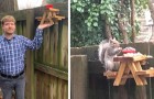 Vidéos d' Écureuils 
