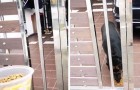 Video de Actualidad