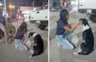 En plena emergencia Coronavirus, una pareja en motocicleta les da agua, comida y caricias a los perros callejeros