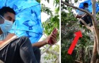 Coronavirus: Jeden Tag klettert er für seine Uni-Kurse auf einen Baum, um WiFi-Empfang zu haben