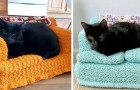 Durante il lockdown, alcune persone hanno creato divani all'uncinetto incredibilmente dettagliati per i loro gatti