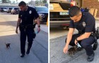 Een achtergelaten puppy “vraagt om hulp” van twee agenten op straat: ze adopteren hem als politiehond