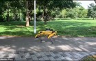 Video Erfindungsvideos Erfindungen