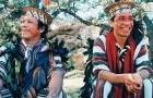 Vidéos sur l' Environnement