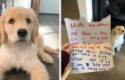 A 10-year-old boy asks neighbors if he can becomes their new puppy's petsitter after the Coronavirus pandemic ends 