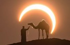 Pendant une éclipse solaire, un photographe réussit à réaliser la 