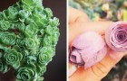 Video Giardinaggio